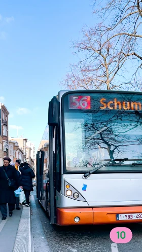 Nieuws buslijn 56